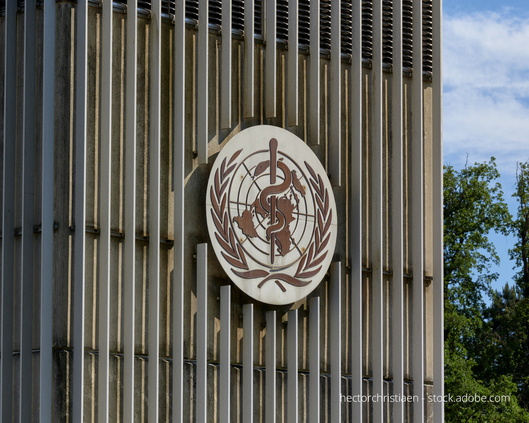World Health Organization (WHO) | MOPAN